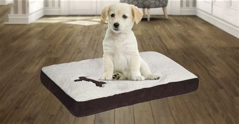 Ipets Orthopedic Memory Foam Pet Bed